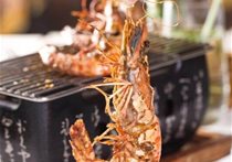 美食菜譜-美食攝影